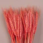 Натуральна пшениця, фото 2