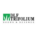 Газонна трава з мікроклевером Easygreen / Ізігрін DLF Trifolium 1 кг, фото 3