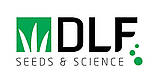 Газонна трава з мікроклевером Easygreen / Ізігрін DLF Trifolium 1 кг, фото 4