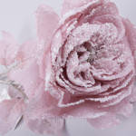 Троянда англійська новорічна (pk-01 рожева), фото 2
