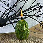 Змія - символ 2025 року