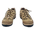 Кросівки тактичні TEDA-3+ Coyote, фото 2