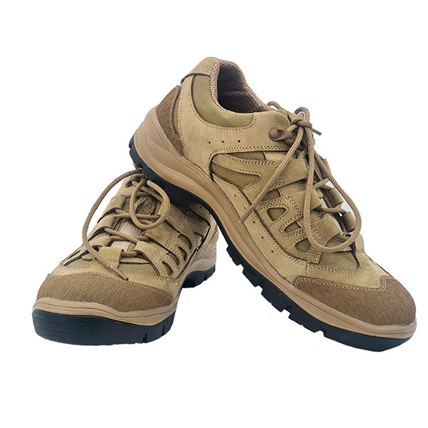 Кросівки тактичні TEDA-3+ Coyote, фото 1
