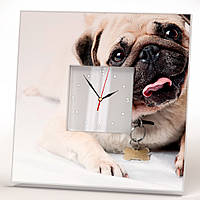 Часы на стену с фото собаки "Мопс" для любитилей домашних питомцев, собачников