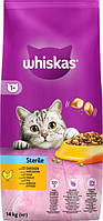 Сухий корм для стерилізованих кішок Whiskas з куркою 14кг (5900951259418)