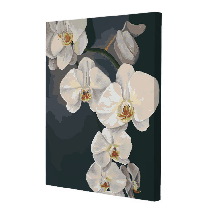 Картина за номерами Riviera Blanca Орхідеї 40x50 см (RB-0778)