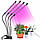 Фітолампа світлодіодна для рослин Plant Grow Light 7819 з таймером, чорна, фото 8