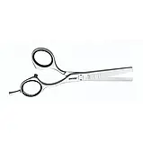 Ножиці перукарські філіровочні 5.25 Jaguar Silver Line CM36 J-96525, фото 3