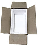 Картопля фрі 9/9 мм T. M Triumph 2,5 кг, фото 2