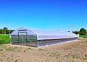 Теплиця "Агро 6" 6х8 (48 м2) під двошарову плівку, фото 2