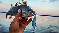 Приманка для лову хижих риб Twitching Lure | Електронна приманка для лову риб! Корисний