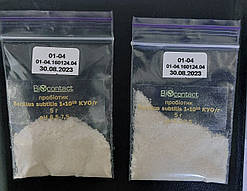 Пробіотик Bacillus subtilis (оптимум рН 6-8) порошок 5г, фото 1