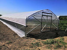 Фермерські теплиці "Агро 6" під один і два шари плівки