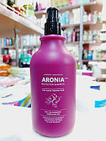 Шампунь для волос "Арония" Pedison Institute Beaut Aronia Color Protection Shampoo 500ml