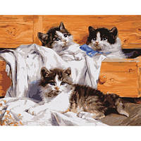 Картина за номерами Стратег Маленькі кошенята, 40х50 см, VA-2647