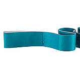 Стрічковий еспандер для розтяжки з петлями Elastiband 90х4 см FI-1722, фото 6