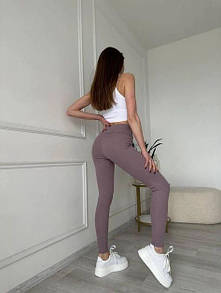 Демісезонні стягуючі лосини, Демісезонні жіночі лосини, Жіночі лосини з високою талією Пудра, M