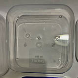 Набір ланчбоксів для їжі неонові 4 шт, фото 9