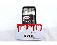 Набір професійний кисті для макіяжу Kylie Jenner Make-up brush set 12 шт ! Salee