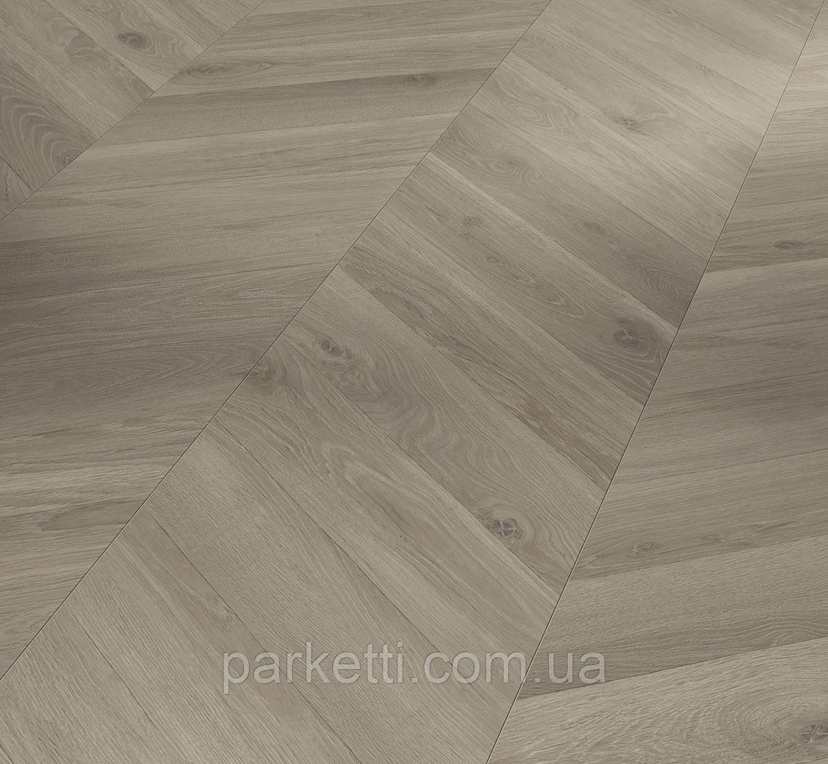 Ламінат Parador 1748771 TrendTime8 V4 Дуб Луара сірий (Oak Loire grey)