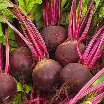 Насіння Буряка Селянське (3г)