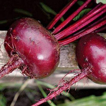 Насіння Буряка Бордо (3г)