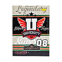 Щоденник учнівський "Стандарт" АП-0103-9 на скобі Вид 9