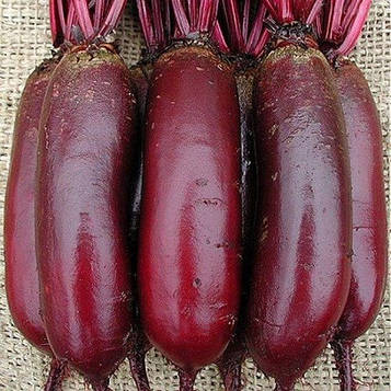 Насіння Буряка Опольська (3г)