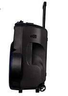 Колонка аккумуляторная с радиомикрофонами TMG ORIGINAL Temeisheng SK-018 (Bluetooth/USB/SD)