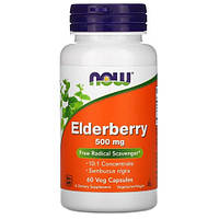 NOW Elderberry 500 mg 60 капсул DS