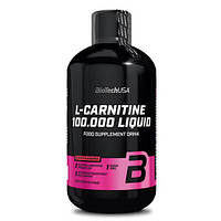 Biotech USA L-Carnitine 100 000 Liquid 500 мл, Яблуко DS