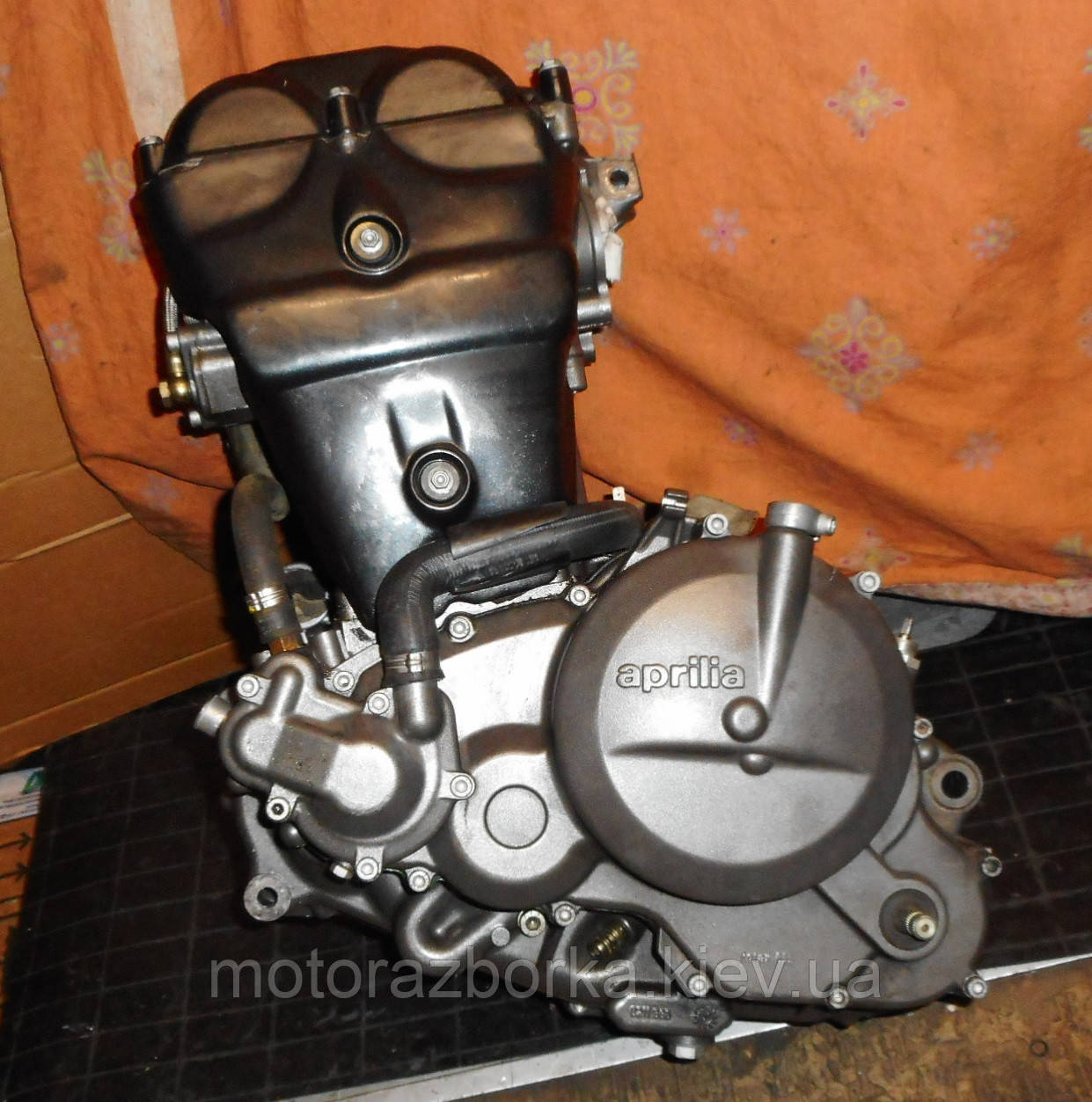 Двигатель Aprilia Pegaso 650 - фото 3 - id-p2128766160