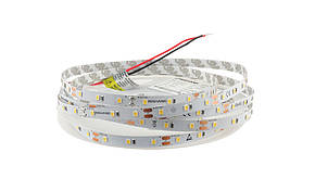 Led стрічка Rishang 2835-60-IP20-WW-8-12 RV0860TA-A 6500K 12V 4,8W/m 536lm/w 19454 5 метрів, фото 1