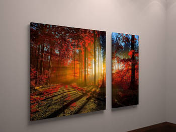 Картина модульна друк на холсті Ранок у лісі, Осінь, Яскравий пейзаж 100х60 з 2х частин