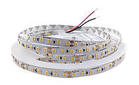 Led лента Rishang 2835-120-IP20-WW-8-24 RV08C0TC-A 3000K 24V 9,6W/m 1023lm/m 18732