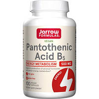 Витамины и минералы Jarrow Formulas Pantothenic Acid 500 mg, 100 вегакапсул DS