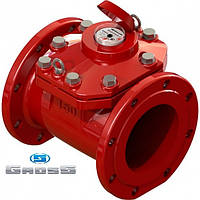 Лічильник Gross WPW-UA 100/250 Ду 100 на гарячу воду турбінний