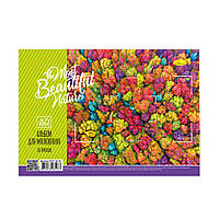 Альбом для малювання АП-П-120-30 на пружині Beautiful nature