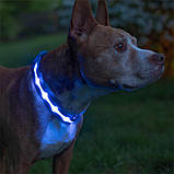 Al Світлодіодний LED нашийник USB світний для собак і котів Blue XL, фото 5
