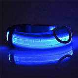 Al Світлодіодний LED нашийник USB світний для собак і котів Blue XL, фото 6