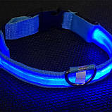 Al Світлодіодний LED нашийник USB світний для собак і котів Blue XL, фото 7