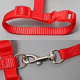 Al Шлея з повідцем для кішок Taotaopets 176602 Red, фото 4