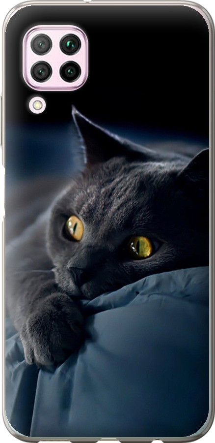 Чохол на Huawei Nova 6SE Димчастий кіт "825u-1823-851"