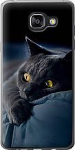 Чохол на Samsung Galaxy A5 (2016) A510F Димчастий кіт "825u-158-851"