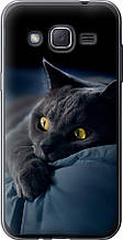 Чохол на Samsung Galaxy J2 J200H Димчастий кіт "825u-190-851"