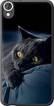 Чохол на HTC Desire 820 Димчастий кіт "825u-133-851"