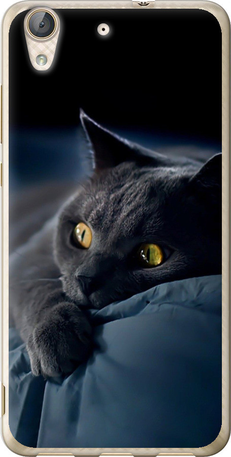 Чохол на Huawei Y6 II Димчастий кіт "825u-338-851"
