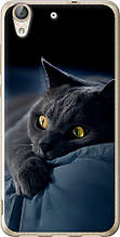 Чохол на Huawei Y6 II Димчастий кіт "825u-338-851"