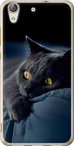 Чохол на Huawei Y6 II Димчастий кіт "825u-338-851", фото 1
