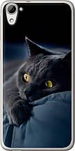 Чохол на HTC Desire 826 dual sim Димчастий кіт "825u-312-851"